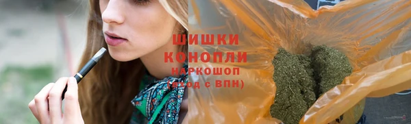 гашик Протвино