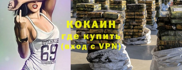 крисы Алзамай