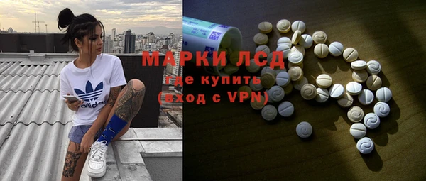 крисы Алзамай